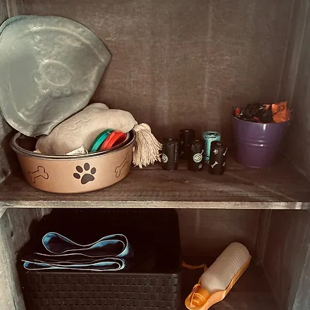 Allgaeunest Apartman *